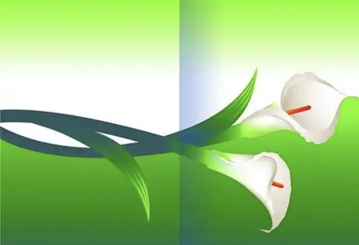 政策与技术双轮驱动，农村污水治理市场迎来“黄金期”